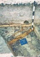 Cronica Cercetărilor Arheologice din România, Campania 2007. Raportul nr. 193