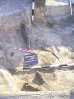 Cronica Cercetărilor Arheologice din România, Campania 2007. Raportul nr. 193
