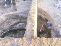 Cronica Cercetărilor Arheologice din România, Campania 2007. Raportul nr. 193