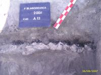 Cronica Cercetărilor Arheologice din România, Campania 2007. Raportul nr. 193