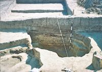 Cronica Cercetărilor Arheologice din România, Campania 2007. Raportul nr. 193