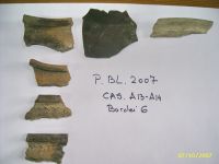 Cronica Cercetărilor Arheologice din România, Campania 2007. Raportul nr. 193