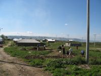 Cronica Cercetărilor Arheologice din România, Campania 2007. Raportul nr. 196