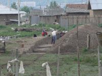 Cronica Cercetărilor Arheologice din România, Campania 2007. Raportul nr. 196