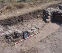 Cronica Cercetărilor Arheologice din România, Campania 2008. Raportul nr. 2.<br /> Sectorul sector-A-strazi.