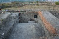 Cronica Cercetărilor Arheologice din România, Campania 2008. Raportul nr. 2.<br /> Sectorul sectorA.