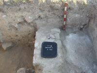 Cronica Cercetărilor Arheologice din România, Campania 2008. Raportul nr. 2.<br /> Sectorul sectorA.