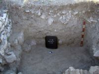Cronica Cercetărilor Arheologice din România, Campania 2008. Raportul nr. 2.<br /> Sectorul sectorA.