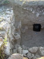 Cronica Cercetărilor Arheologice din România, Campania 2008. Raportul nr. 2.<br /> Sectorul sectorA.