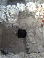 Cronica Cercetărilor Arheologice din România, Campania 2008. Raportul nr. 2.<br /> Sectorul sectorA.
