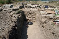 Cronica Cercetărilor Arheologice din România, Campania 2008. Raportul nr. 2.<br /> Sectorul sectorD.