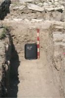 Cronica Cercetărilor Arheologice din România, Campania 2008. Raportul nr. 2.<br /> Sectorul sectorD.