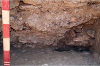 Cronica Cercetărilor Arheologice din România, Campania 2008. Raportul nr. 2.<br /> Sectorul sectorD.