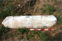 Cronica Cercetărilor Arheologice din România, Campania 2008. Raportul nr. 2.<br /> Sectorul sectorD.