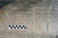 Cronica Cercetărilor Arheologice din România, Campania 2008. Raportul nr. 2.<br /> Sectorul sectorD.