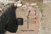 Cronica Cercetărilor Arheologice din România, Campania 2008. Raportul nr. 2.<br /> Sectorul sectorD.