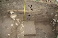 Cronica Cercetărilor Arheologice din România, Campania 2008. Raportul nr. 2.<br /> Sectorul sectorD.