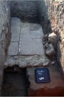 Cronica Cercetărilor Arheologice din România, Campania 2008. Raportul nr. 2.<br /> Sectorul sectorD.