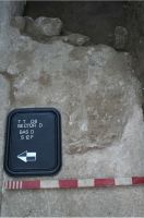 Cronica Cercetărilor Arheologice din România, Campania 2008. Raportul nr. 2.<br /> Sectorul sectorD.