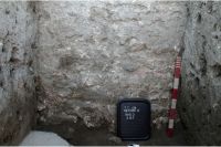 Cronica Cercetărilor Arheologice din România, Campania 2008. Raportul nr. 2.<br /> Sectorul sectorD.