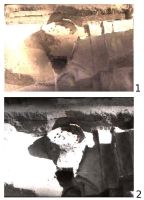 Cronica Cercetărilor Arheologice din România, Campania 2008. Raportul nr. 7