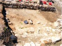 Cronica Cercetărilor Arheologice din România, Campania 2008. Raportul nr. 13.<br /> Sectorul 03-sectorul-de-est.