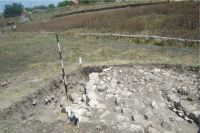 Cronica Cercetărilor Arheologice din România, Campania 2008. Raportul nr. 13.<br /> Sectorul 05-ilustratie-sector-VIII.