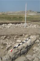 Cronica Cercetărilor Arheologice din România, Campania 2008. Raportul nr. 13.<br /> Sectorul 05-ilustratie-sector-VIII.