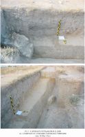 Cronica Cercetărilor Arheologice din România, Campania 2008. Raportul nr. 13.<br /> Sectorul 06-ilustratie-sector-X.