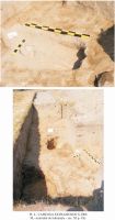 Cronica Cercetărilor Arheologice din România, Campania 2008. Raportul nr. 13.<br /> Sectorul 06-ilustratie-sector-X.