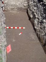 Cronica Cercetărilor Arheologice din România, Campania 2008. Raportul nr. 15