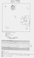 Cronica Cercetărilor Arheologice din România, Campania 2008. Raportul nr. 16
