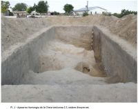 Cronica Cercetărilor Arheologice din România, Campania 2008. Raportul nr. 17