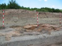 Cronica Cercetărilor Arheologice din România, Campania 2008. Raportul nr. 23