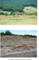 Cronica Cercetărilor Arheologice din România, Campania 2008. Raportul nr. 23