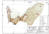 Cronica Cercetărilor Arheologice din România, Campania 2008. Raportul nr. 25