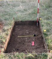Cronica Cercetărilor Arheologice din România, Campania 2008. Raportul nr. 25
