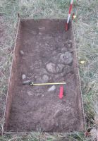 Cronica Cercetărilor Arheologice din România, Campania 2008. Raportul nr. 25