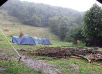 Cronica Cercetărilor Arheologice din România, Campania 2008. Raportul nr. 25