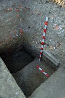 Cronica Cercetărilor Arheologice din România, Campania 2008. Raportul nr. 30