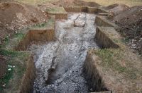 Cronica Cercetărilor Arheologice din România, Campania 2008. Raportul nr. 30