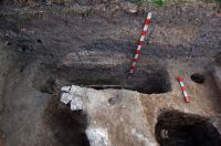 Cronica Cercetărilor Arheologice din România, Campania 2008. Raportul nr. 30