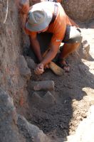 Cronica Cercetărilor Arheologice din România, Campania 2008. Raportul nr. 30