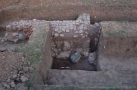 Cronica Cercetărilor Arheologice din România, Campania 2008. Raportul nr. 30
