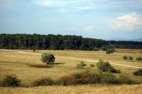 Cronica Cercetărilor Arheologice din România, Campania 2008. Raportul nr. 30