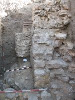 Cronica Cercetărilor Arheologice din România, Campania 2008. Raportul nr. 34