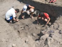 Cronica Cercetărilor Arheologice din România, Campania 2008. Raportul nr. 34
