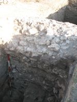 Cronica Cercetărilor Arheologice din România, Campania 2008. Raportul nr. 34