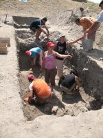 Cronica Cercetărilor Arheologice din România, Campania 2008. Raportul nr. 34