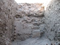 Cronica Cercetărilor Arheologice din România, Campania 2008. Raportul nr. 34